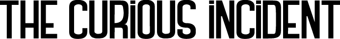 THE CURIOUS INCIDENT
