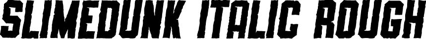 SLIMEDUNK ITALIC ROUGH