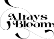 Alrays Bloom Demo Regular