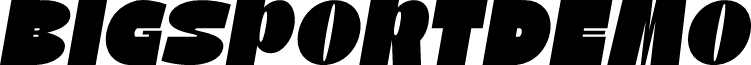 BigSportDemo