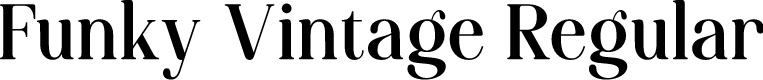 Funky Vintage Regular