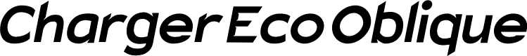 Charger Eco Oblique