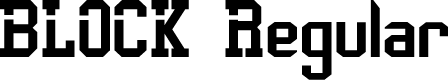 BLOCK Regular