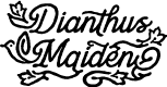 Dianthus Maiden Regular