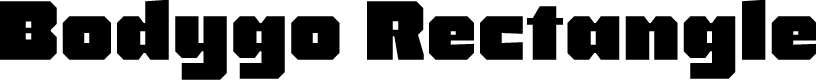 Bodygo Rectangle