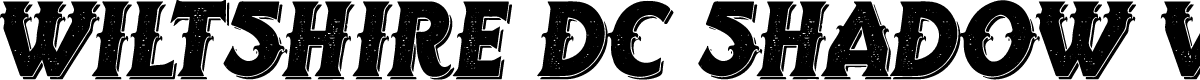 Wiltshire Dc Shadow Vtg Italic