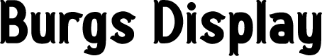 Burgs Display