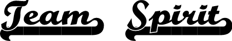 Team Spirit NF