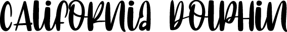 CAlifornia dolphin