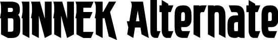 BINNEK Alternate