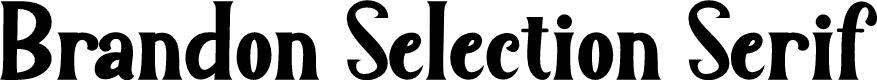 Brandon Selection Serif
