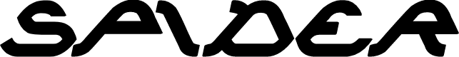 SPIDER Bold Italic