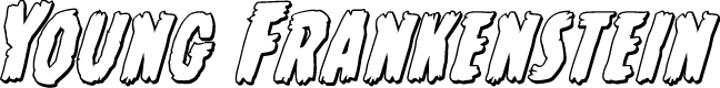 Young Frankenstein 3D Italic