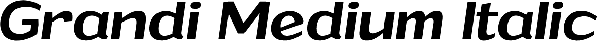 Grandi PERSONAL USE Medium Italic