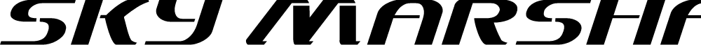 Sky Marshal Italic