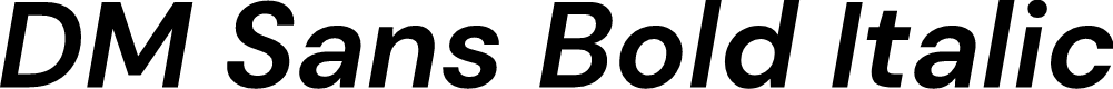 DM Sans Bold Italic
