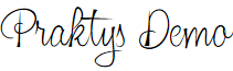 Praktys Demo