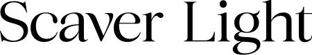 Scaver Light