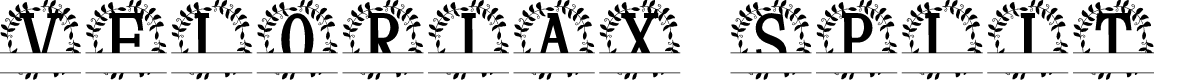 Veloriax Split Monogram