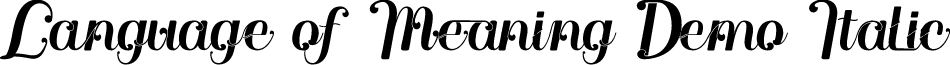 Language of Meaning Demo Italic