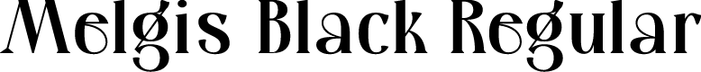 Melgis Black Regular