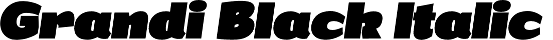 Grandi PERSONAL USE Black Italic