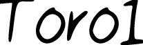 Toro1
