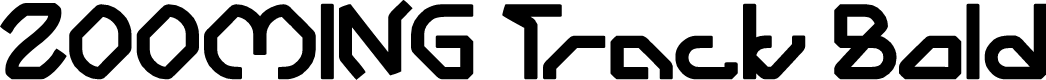 ZOOMING Track Bold