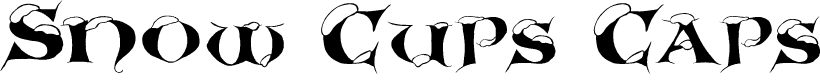 SnowCupsCaps