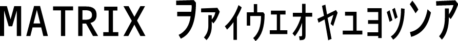 Matrix Code NFI