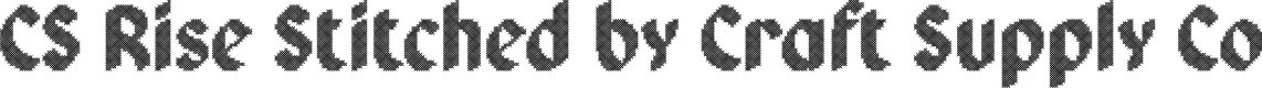 CS Rise Stitched Regular Demo