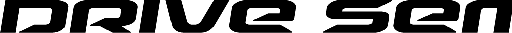 Drive Semi-Italic