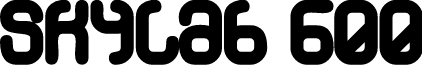 Skylab 600