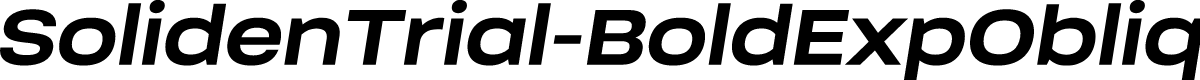SolidenTrial-BoldExpObliq