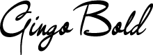 GingoPERSONALUSE-Bold