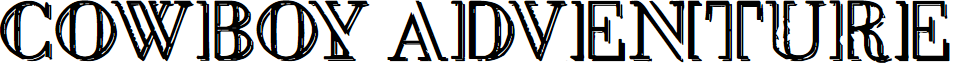 Cowboy Adventure
