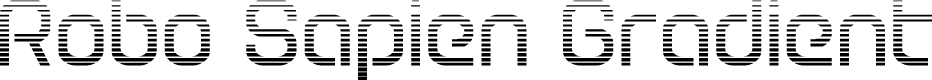Robo Sapien Gradient