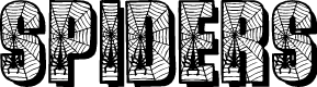Spiders