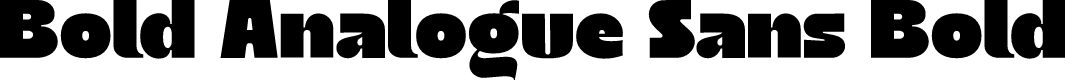 Bold Analogue Sans Bold