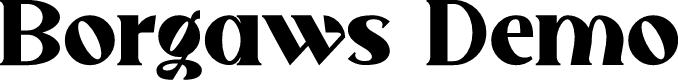 Borgaws Demo