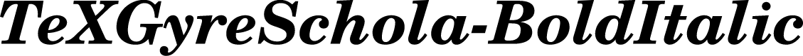 TeXGyreSchola-BoldItalic