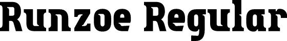 Runzoe Regular
