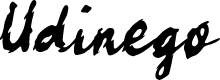 Udinego