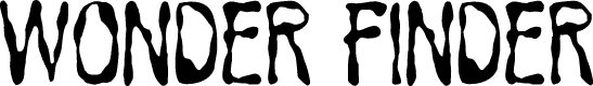 Wonder Finder Regular Demo