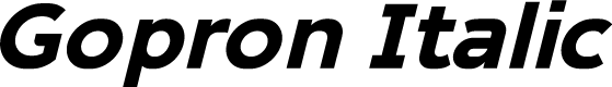 Gopron Italic