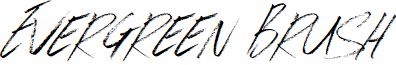 Evergreen Brush