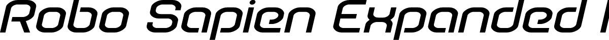 Robo Sapien Expanded Italic