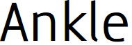 Ankle