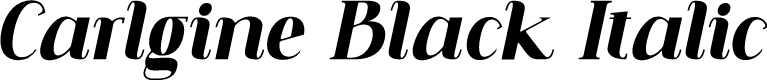 Carlgine Black Italic