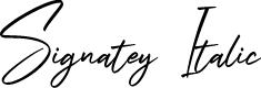 Signatey Italic